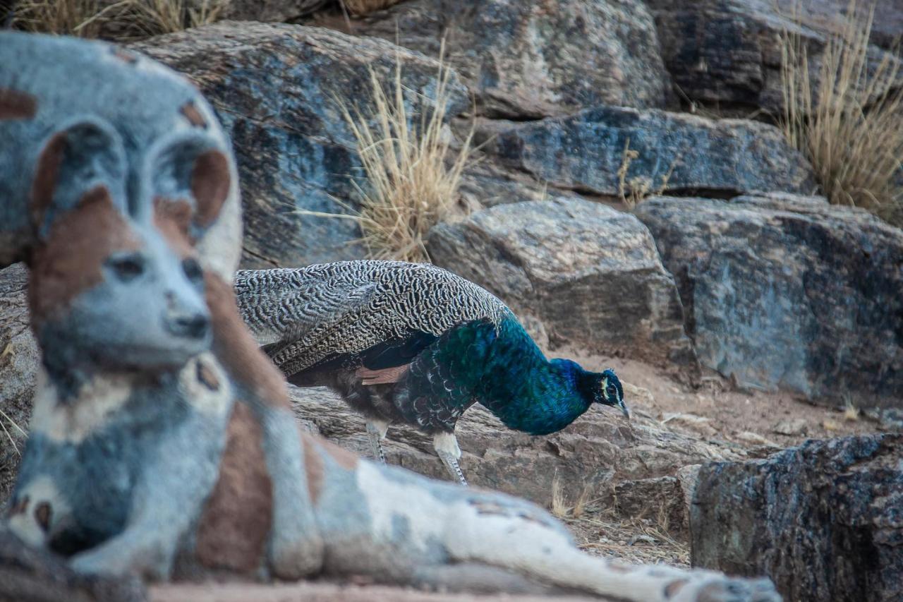 Blue Diamond Lodge & Spa Springbok Buitenkant foto